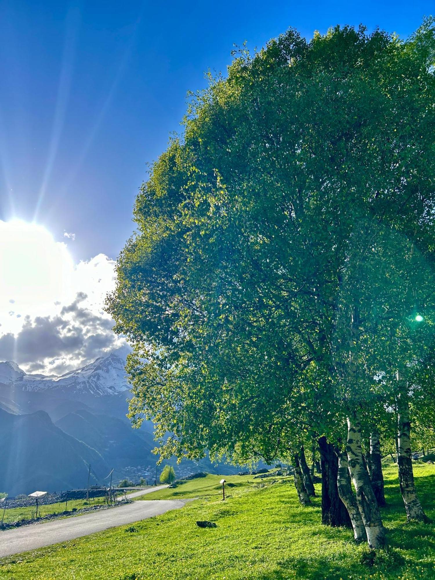 Mountain House Kazbegi Hotel Exterior photo